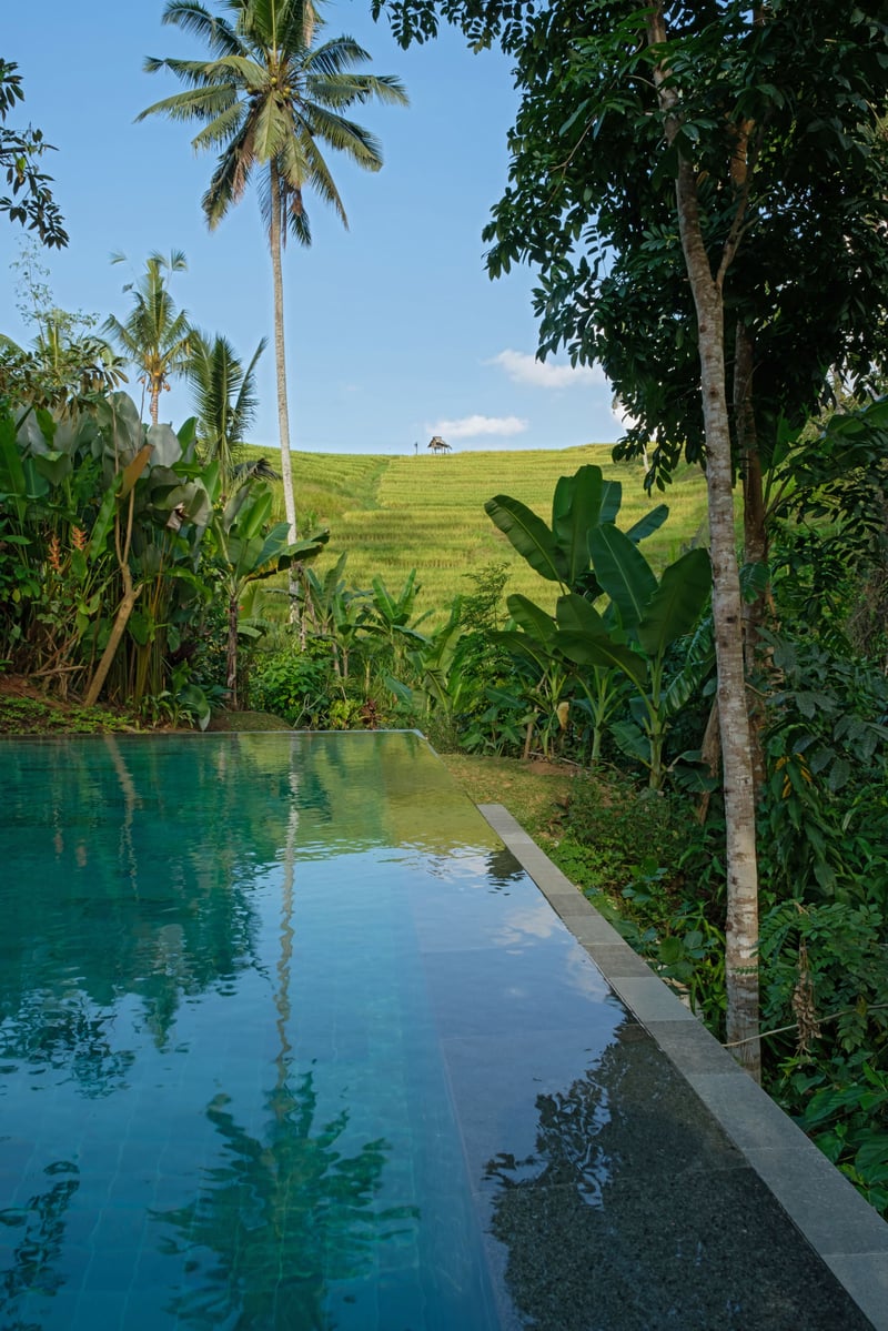 Bebalilodge — photo 2