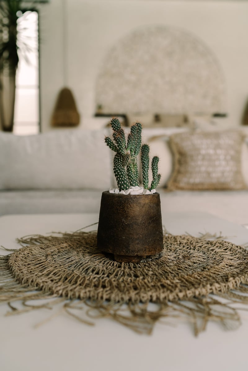 Tulá — photo 2