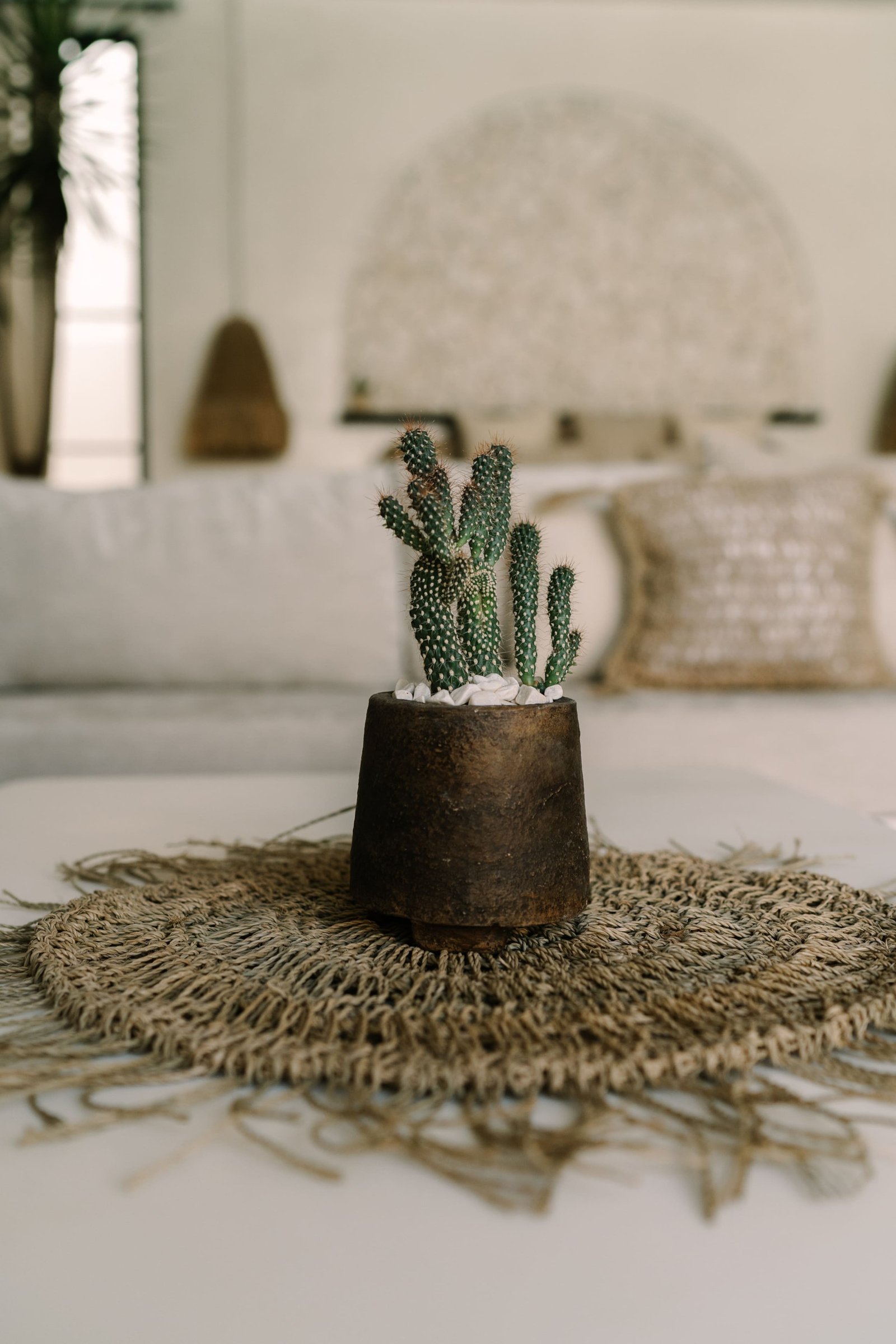 Tulá — photo 2