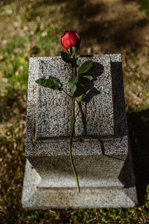 pierre tombale avec une rose rouge dessus