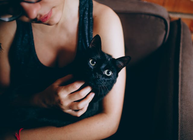 chat noir dans les bras d'une femme