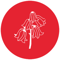 Grove Primary School