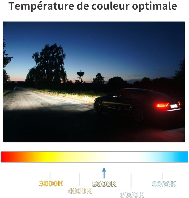 LTONXEN H4 halogén izzó, E-jelzésű, 5000K meleg fehér, 12V 55W, autó és motor fényszóróhoz (2db)