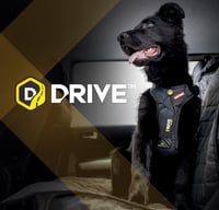 EzyDog autós biztonsági hámok kutyáknak - Ütközéstesztelt, fekete, M méret 6