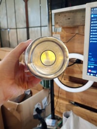 SIGG Shield Therm One Jungle gyerek szigetelt kulacs 0,5 L - rozsdamentes acél — horpadt, vízköves, karcos (állapot: lásd a 2. képet) 7