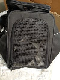 Geantă de transport pentru animale de companie Petsfit pentru pisici și câini, geantă de voiaj aprobată pentru avion, pentru mașină și tren, mărimea M, negru 4