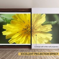 NIERBO 120" Kétoldalú Hordozható 4K 3D Vetítővászon, Fekete Hátterű, Kül- és Beltéri Használatra 5