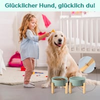 SPUNKYJUNKY Kerámia Emelt Etetőtál Szett Bambusz Állvánnyal Kutyáknak és Macskáknak - 850 ml Űrtartalmú Tálak, Világoszöld, Állítható Magass 7