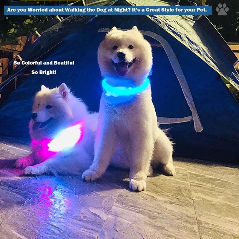 Piros LED-es Vízálló Kutya Nyakörv - Újratölthető, Világító