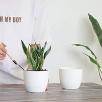 T4U 12cm-es Önöntöző Virágcserép Szett 10db - Fehér Műanyag Orchideákhoz, Bazsalikomhoz és Fűszernövényekhez, Bel- és Kültérre 3