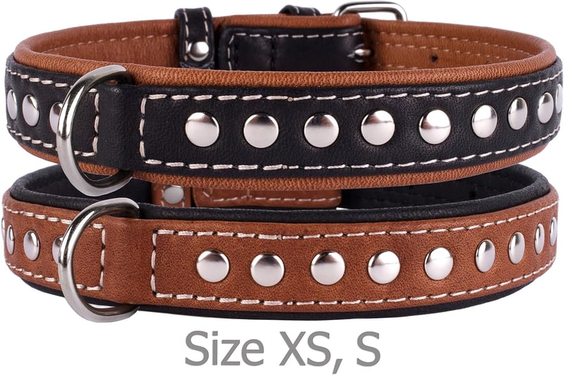 CollarDirect Kézzel Készített Valódi Bőr Kutyanyakörv - Puha Párnázott Barna Nyakörv Szegecseléssel Közepes Méretű Kutyáknak, 33-36 cm