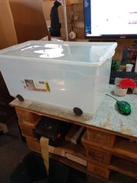 Cutie de depozitare transparentă Rotho Clear cu capac și roți 63 L, 71,5x40x33,5 cm, stivuibilă — margine inferioară ușor deteriorată (stare: vezi imaginea 2) 4