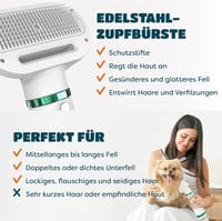KUUBIA 2 az 1-ben Kutyaszárító és Öntisztító Kefe - 300W Kisállat Hajszárító Kis és Közepes Kutyáknak, Macskáknak, Állítható Hőmérséklettel 5