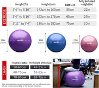 PROIRON 65cm-es Rózsaszín Fitnesz Labda Pózrajzokkal, Pumpával 7