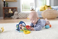 Fisher-Price Érzékfejlesztő Ajándékszett Babáknak - Készségfejlesztő Játékkészlet Állatfigurákkal 3-18 Hónapos Kortól 6