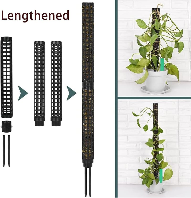 RURIZHONGTIAN-1 Monstera Növénytámasz Szett - 6 db Mohakaró, Kókuszrost Rúd, Kúszónövény Támasz, Beltéri Növényekhez, Filodendronhoz