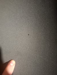 Spumă EVA VIDETOL, 2 role, 33x150 cm, grosime 5 mm, negru, pentru costume, artizanat și proiecte DIY 3