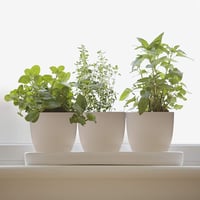 T4U 12cm-es Önöntöző Virágcserép Szett 10db - Fehér Műanyag Orchideákhoz, Bazsalikomhoz és Fűszernövényekhez, Bel- és Kültérre 2
