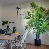 Rayofly 20W Teljes Spektrumú LED Növénylámpa, Állítható Magasságú Beltéri Növényvilágítás 4/8/12 Órás Időzítővel, COB Izzóval, Fekete 8