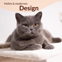 Meoville XXL Macskafal Szett 4 Részes - Tömörfa Macska Függőágy, Pihenő és 2 Lépcső, Fali Kaparófa Rendszer Bézs Színben 8