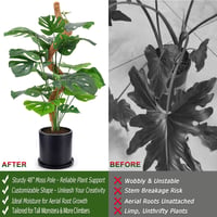 Hajlítható kókuszrost növénytámasz karó Monstera és Pothos növényekhez, 2 db, 48 hüvelykes, kézzel készített, kúszónövény rögzítő 5