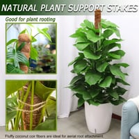 Hajlítható kókuszrost növénytámasz karó Monstera és Pothos növényekhez, 2 db, 48 hüvelykes, kézzel készített, kúszónövény rögzítő 7
