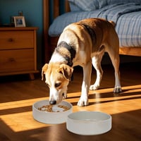 Skrtuan Kerámia Kutyatál Szett - 2 db 450 ml-es Etető és Lassító Tál Kisméretű Kutyáknak és Macskáknak, Mosogatógépben Mosható, Cseppmentes 2