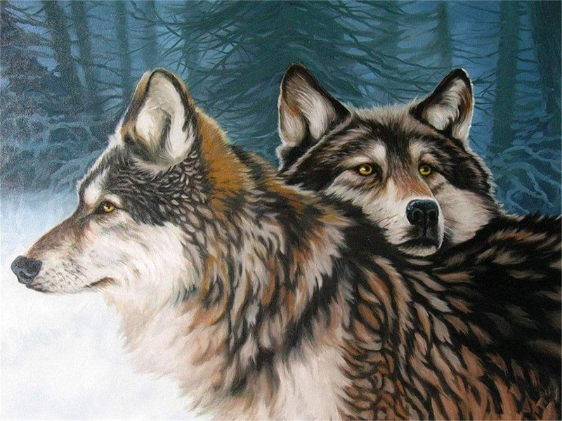 Farkasos számfestő készlet, 40x50 cm-es vászon, keret nélkül