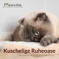 Meoville XXL Macskafal Szett 4 Részes - Tömörfa Macska Függőágy, Pihenő és 2 Lépcső, Fali Kaparófa Rendszer Bézs Színben 6