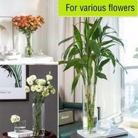 TSKDKIT 30 cm-es Hengeres Üvegváza - Átlátszó Vastag Üveg Virágváza Orchideákhoz, Rózsákhoz, Tulipánokhoz, Pampafűhöz - Asztali Dekoráció 5