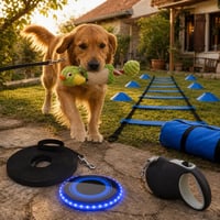 Avantura za pse: LED frizbi + igračka s užetom + set za vježbanje + povodac 5m + povodac na namatanje 8m 1
