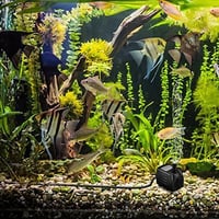 Cadrim 25W Vízpumpa Akváriumokhoz - 1200L/H Teljesítményű Merülő Szivattyú Szökőkutakhoz és Tavakhoz, 2m Emelőmagasság, Fekete 8