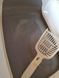 Amazon Basics otvoreni WC za mačke s lopaticom, bijelo/siva, 50,5 x 38 x 20 cm, lako se čisti, za mačke 3