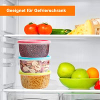 Spoilu színes pizzatészta érlelő doboz szett fedéllel, 6 darabos 3