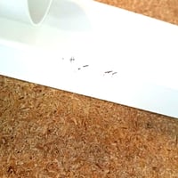 da LIGHT LED stropna spot svjetiljka s 4 grla, rotirajuća i nagibna, GU10, 230V, bijela — oštećeno kućište (stanje: vidi 2. sliku) 4