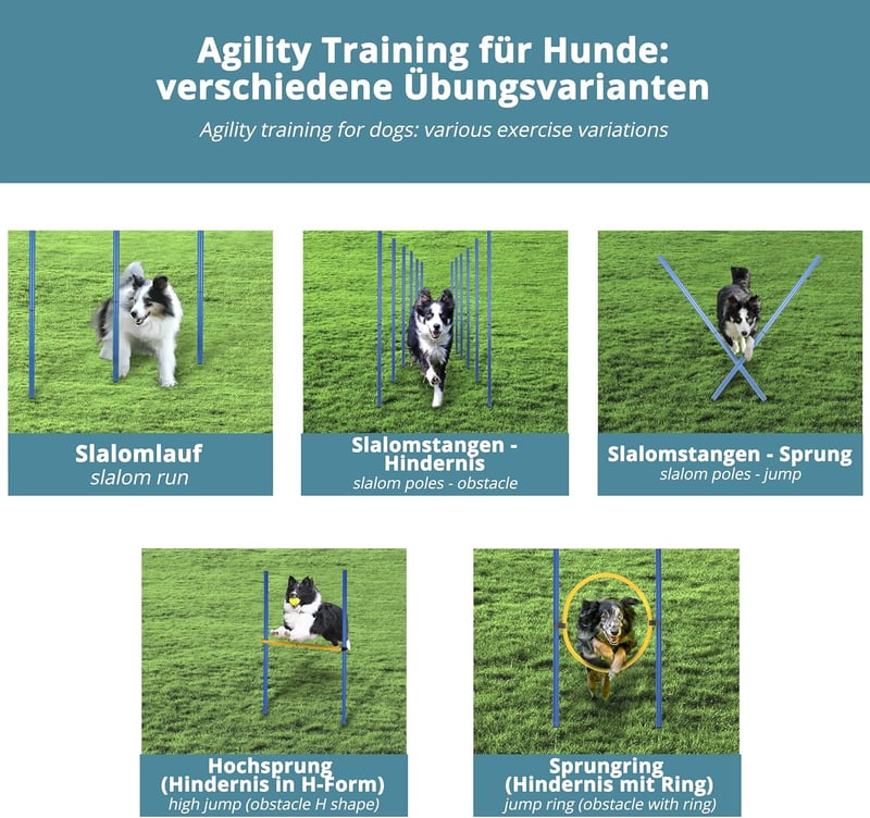 Valuents Agility készlet kutyáknak - Slalom rudak, akadályok, ugrókeret - Kék/sárga + Frizbi