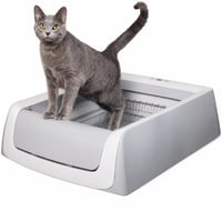 Toaletă pentru pisici cu autocurățare PetSafe ScoopFree cu nisip cristalin, generația a 2-a - Fără tavă, stare utilizată, gri (stare: vezi imaginea 2) 1