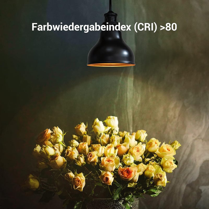EDISHINE E27 LED Izzó 2700K Meleg Fehér, 10W 1000LM Fényerőszabályozható, 60W Hagyományos Izzó Helyettesítő, Energiatakarékos, 6 db Csomag