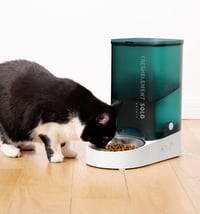 PETKIT Automata Macskaeledető 3L Rozsdamentes Acél Tálca Friss Zár Technológia - beige 7