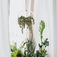 Floweroyal Műnövény Függő Pozsgás Csomag - 2 db 31 cm-es Gyöngyös Lánccal, Kaspóval és 21 cm-es Akasztóval - Beltéri és Kültéri Fali Dekorác - Green 4