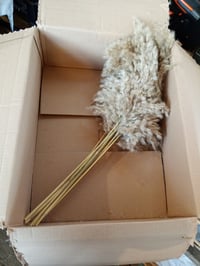 GOALS Pampafű Csokor 10 db Barna Boho Dekoráció 60 cm Száraz Virágcsokor Esküvői és Őszi Otthoni Dísz 4