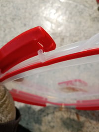 Mikrovlnná nádoba na varenie v pare Sistema s vyberateľnou vložkou 2,4 l, červená, bez BPA — zdeformovaná rukoväť (stav: pozri 2. obrázok) 2