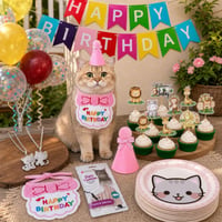 Pet Party Set: 2 coliere + bandană + pălărie + 10 bannere + 24 decorațiuni tort + recompensă + 50 farfurii 1