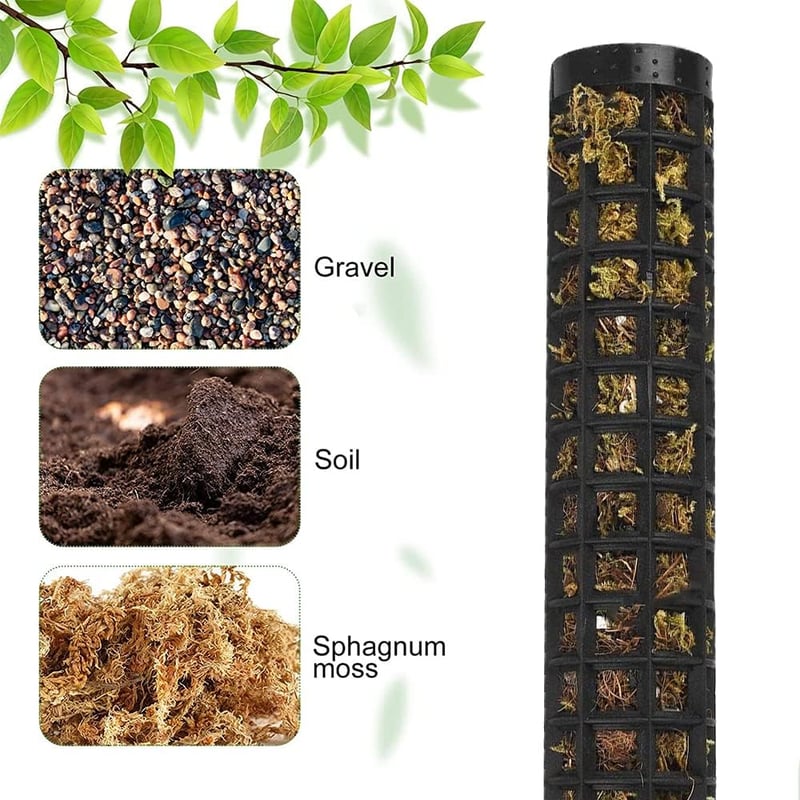 RURIZHONGTIAN-1 Monstera Növénytámasz Szett - 6 db Mohakaró, Kókuszrost Rúd, Kúszónövény Támasz, Beltéri Növényekhez, Filodendronhoz