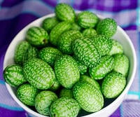 Egéruborka magok - Különleges mini uborka vetőmag 3
