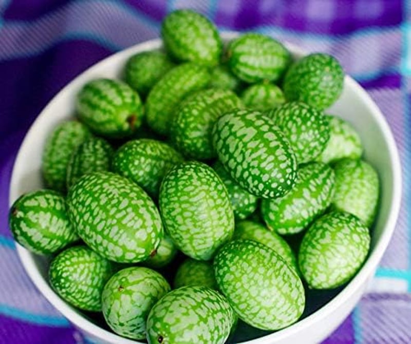 Egéruborka magok - Különleges mini uborka vetőmag