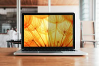 Filtru de confidențialitate 3M BP156W9B Bright Screen pentru laptop de 15,6 inchi, 16:9, design fără ramă 5