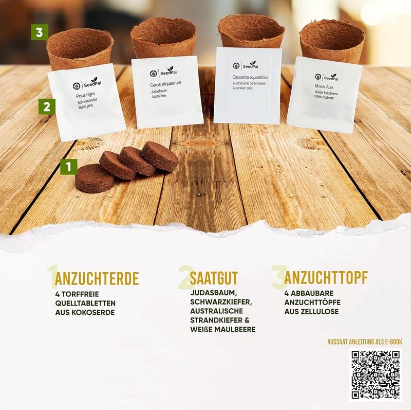 Bonsai Nevelő Készlet 4 Fajta Maggal - Ajándék Szett Útmutatóval