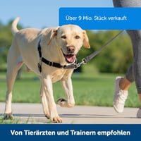 PetSafe Easy Walk Fekete Hámok Kutyáknak - Húzásgátló, Fojtásmentes S Méret + 1,8m Póráz 3