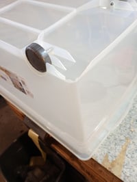 Cutie de depozitare transparentă Rotho Clear cu capac și roți 63 L, 71,5x40x33,5 cm, stivuibilă — margine inferioară ușor deteriorată (stare: vezi imaginea 2) 2